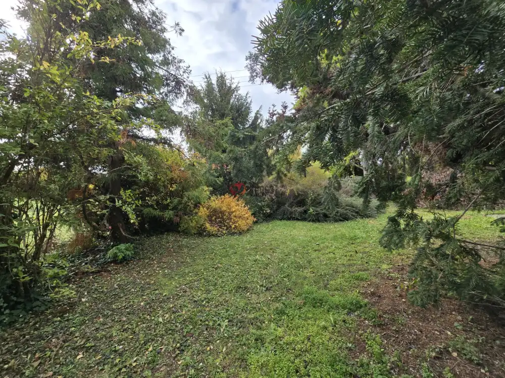 Veszprém megye - Badacsonytomaj-Badacsony